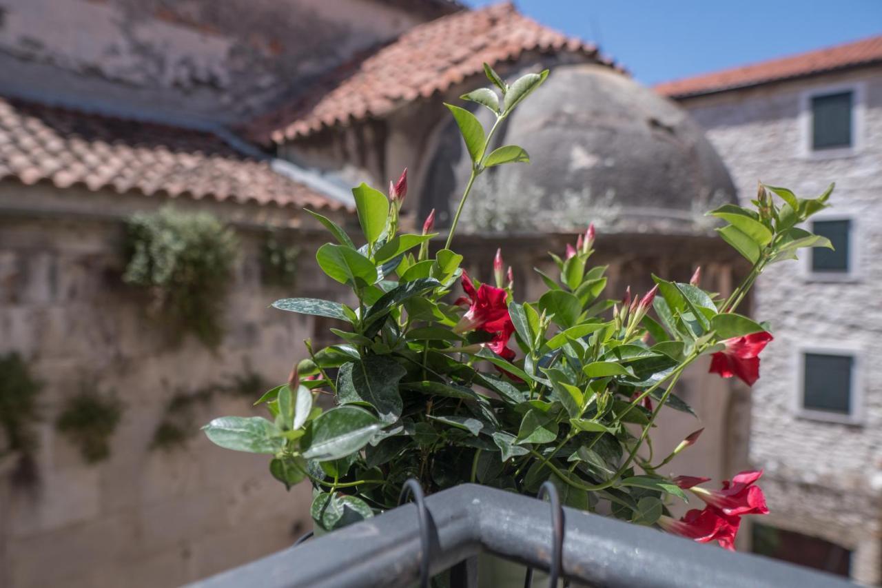 Olive Grove Of Sibenik - Apartment With Gallery Exterior foto